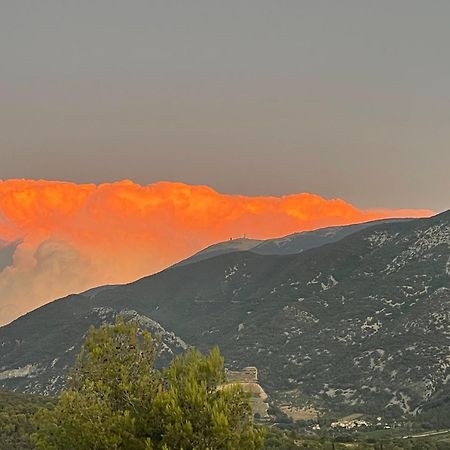Apartamento Les Terrasses Du Ventoux Mollans-sur-Ouvèze Exterior foto